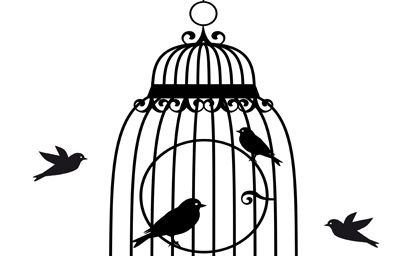 birdcage